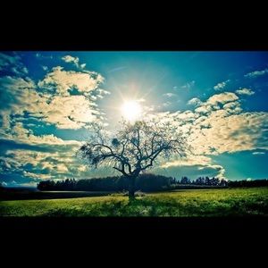 WE NEED YOUR HELP!! MORE BLUE FOLLOWERS! 💘💘